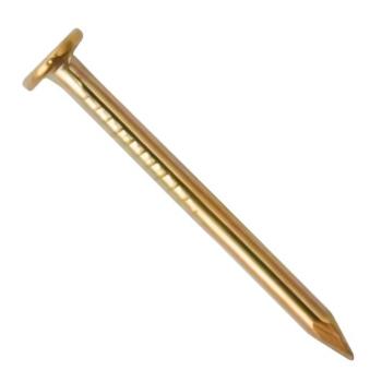 Clous doré en acier 1,9mm x 25mm / 10 clous - Prix dégressif